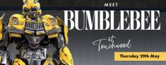 2025-05/bumblebee-web-header-938px-x-370px